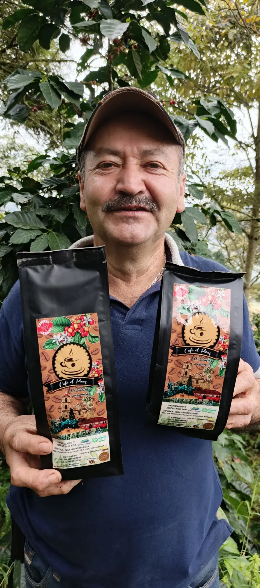 Cultivos de cafe en el Valle de Tenza