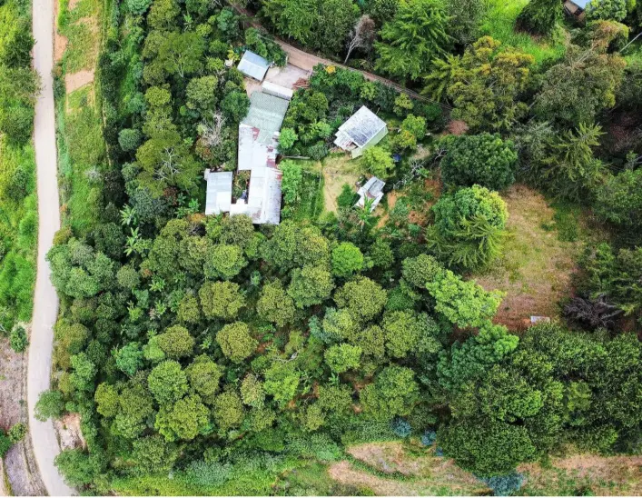 Finca El Pinar Restaurante