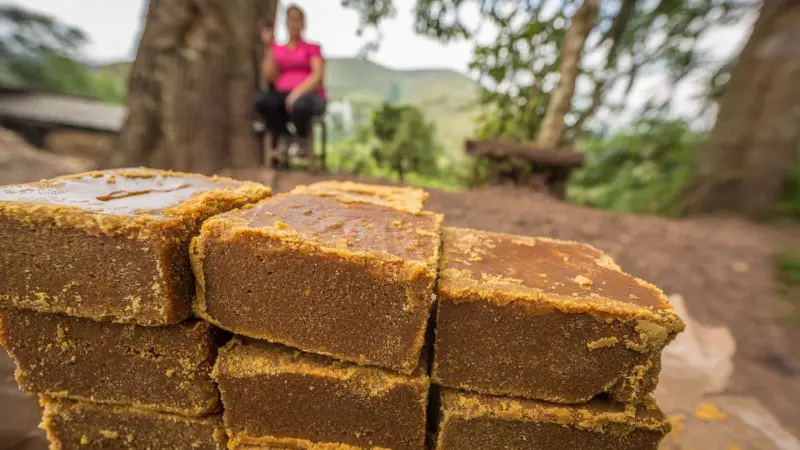 Comprar panela organica Sutatenza