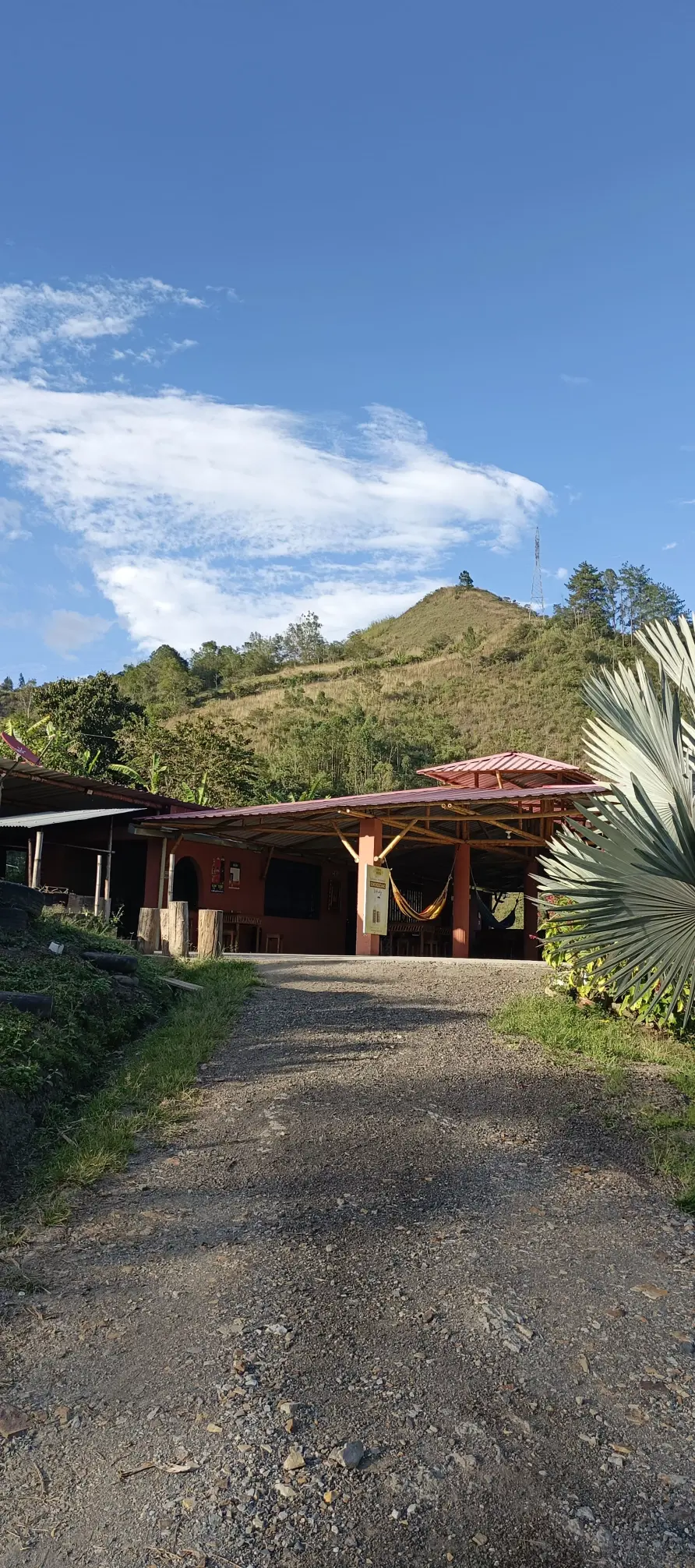 Kiosco Donde Mascota