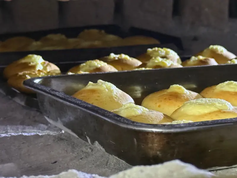 Horno de leña tradicional panaderia